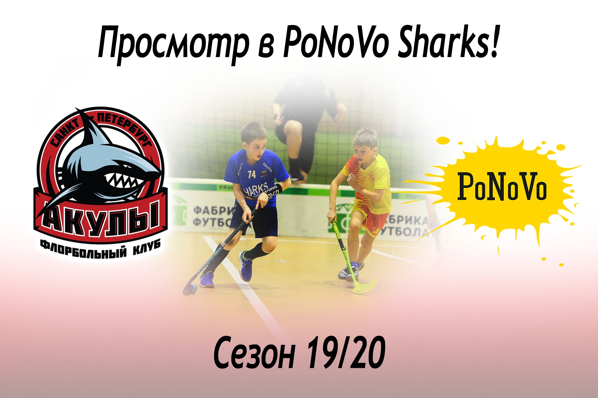 PoNoVo Sharks вновь сыграет в чемпионате Финляндии